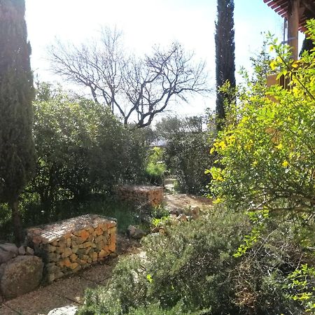T2 36 M2, Rdc De Villa, Clim, Gd Jardin Clos, Animx Ok, Quartier Mt Faron Tres Calme, Wifi, Parking تولون المظهر الخارجي الصورة