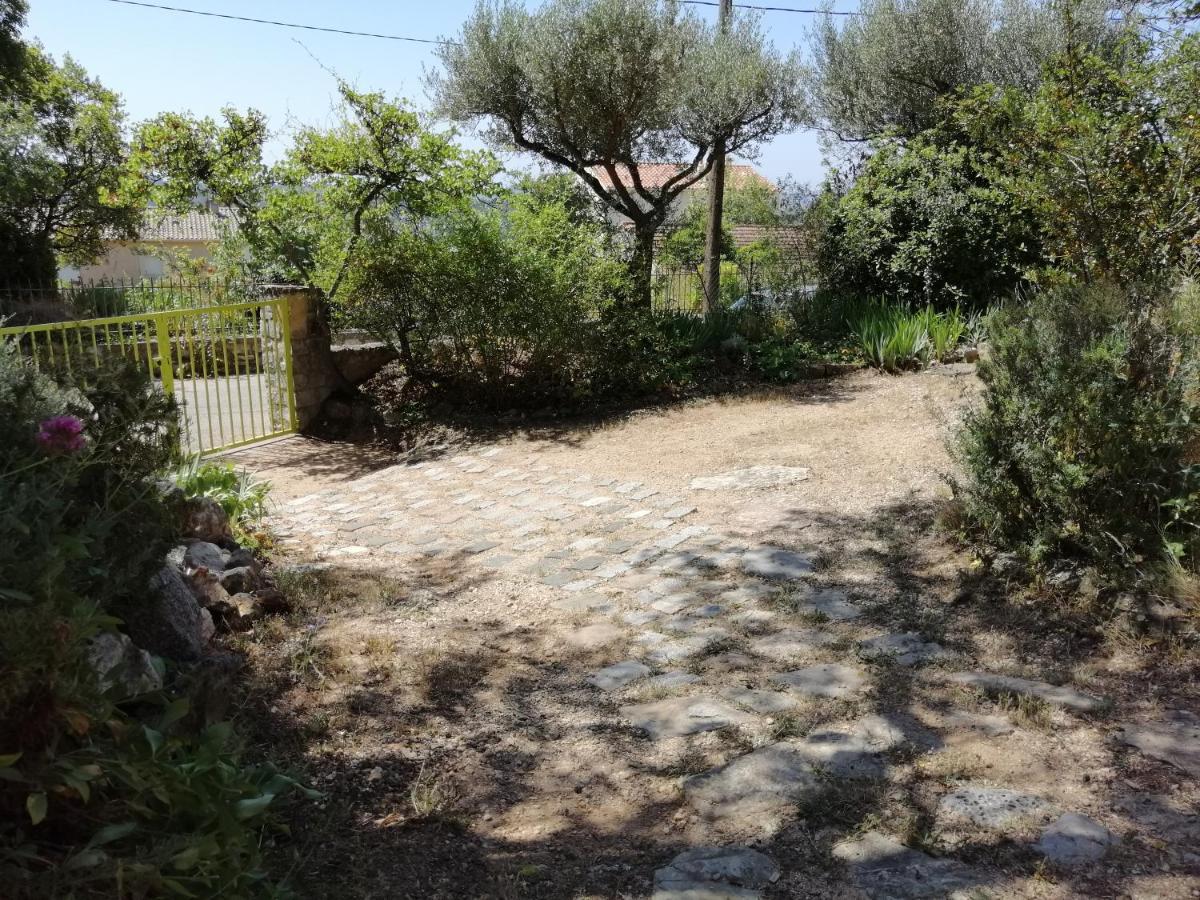 T2 36 M2, Rdc De Villa, Clim, Gd Jardin Clos, Animx Ok, Quartier Mt Faron Tres Calme, Wifi, Parking تولون المظهر الخارجي الصورة